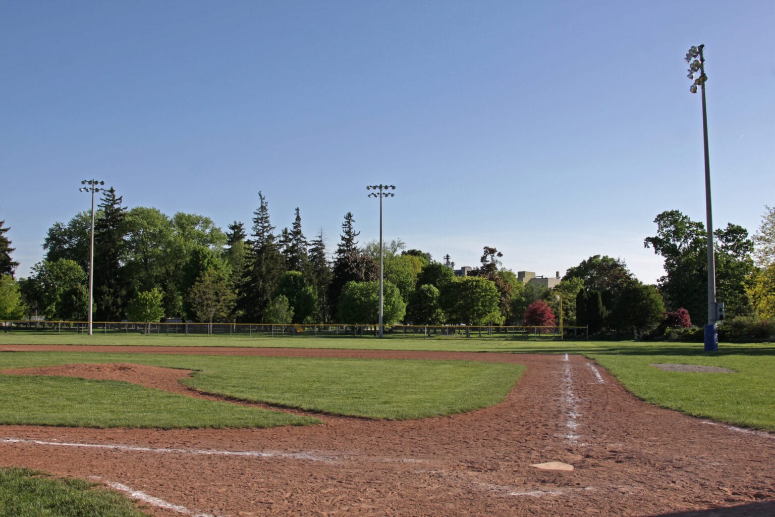 Baseball Netting Guide Pioneer Nets